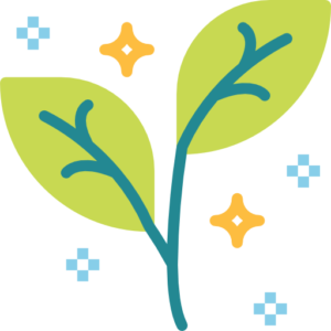 Purificare