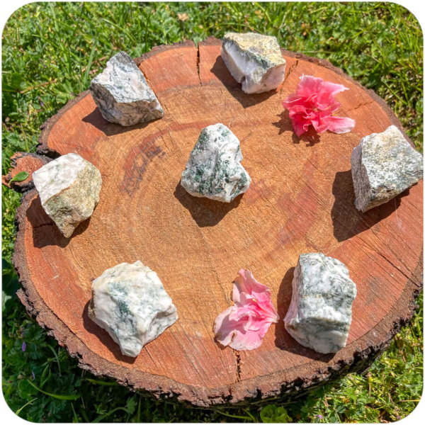Agat Copac Brut pentru Stabilitate și Conexiune cu Natura - imagine 2
