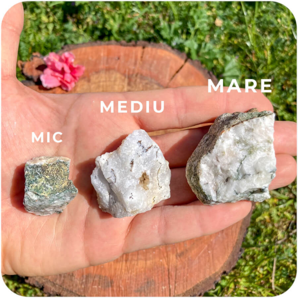 Agat Copac Brut pentru Stabilitate și Conexiune cu Natura - imagine 9