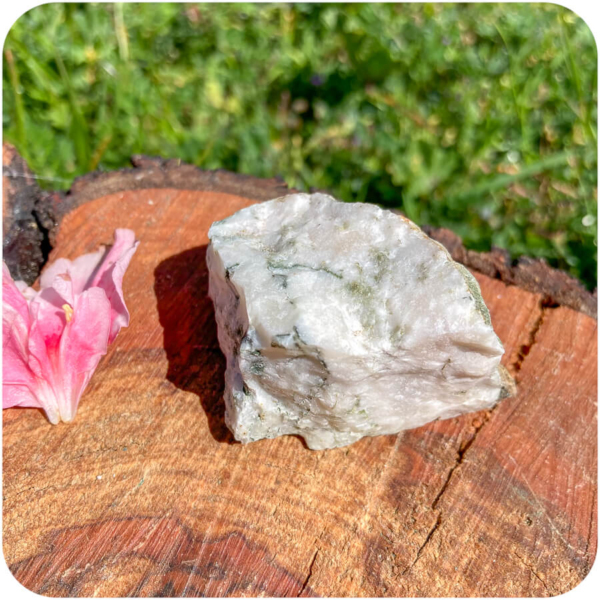 Agat Copac Brut pentru Stabilitate și Conexiune cu Natura - imagine 4