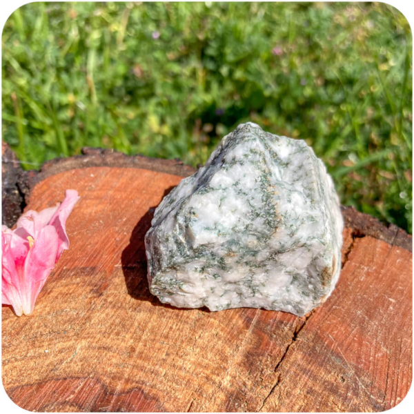 Agat Copac Brut pentru Stabilitate și Conexiune cu Natura - imagine 3