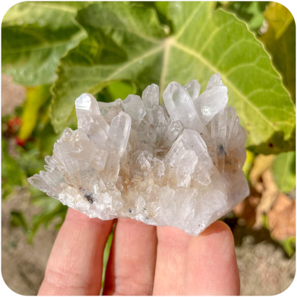 Druză Cristal de Stâncă preț