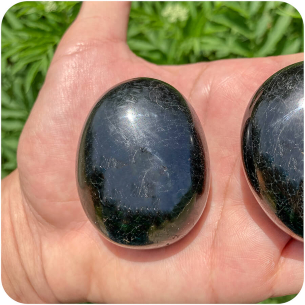 Palmă Turmalină Neagră pentru Protecție Energetică - imagine 4