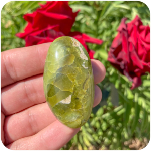 Palmă Opal Verde pentru O Nouă Perspectivă