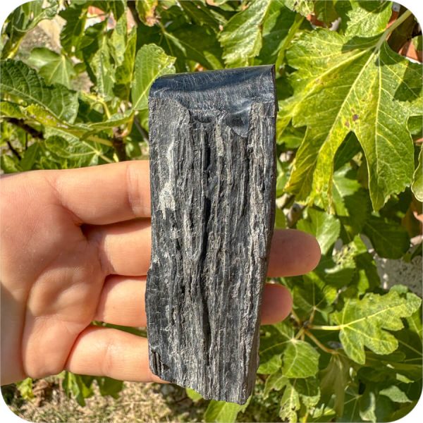 Gagat (Jet) Brut pentru Protecție Energetică și Purificare - imagine 7