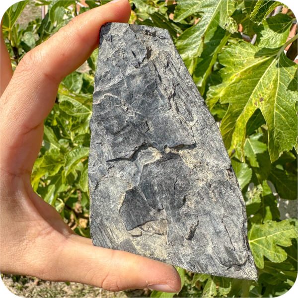 Gagat (Jet) Brut pentru Protecție Energetică și Purificare - imagine 8